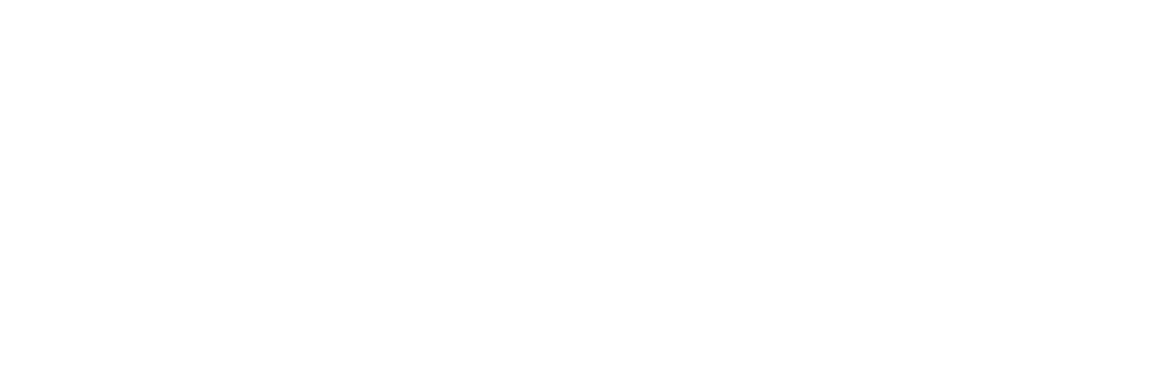 Intellectual Point