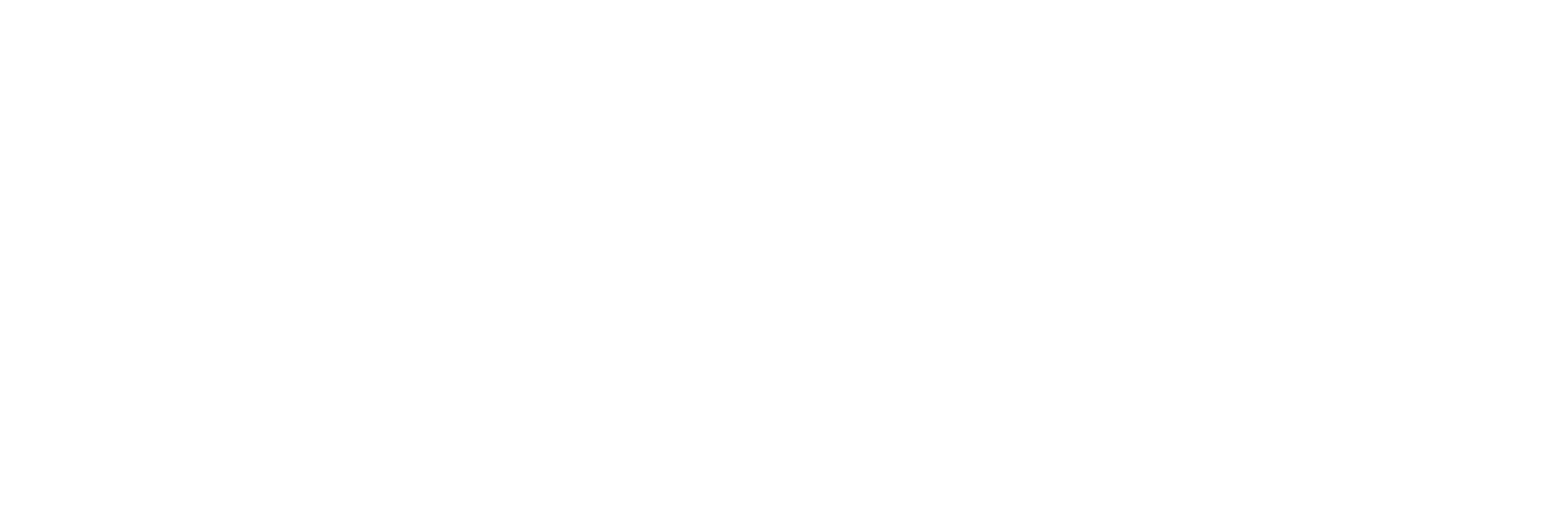Intellectual Point